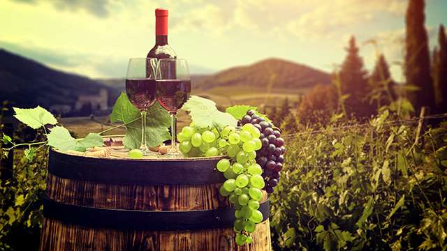 Rtveli — Join the Grape Harvest at Guest House Akutsa